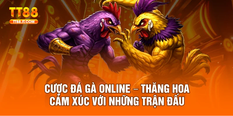 Hội viên cần theo dõi bảng thống kê lịch sử của chiến kê