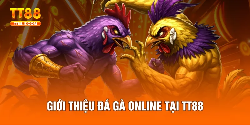 Đá gà TT88 mang đến trải nghiệm giải trí đỉnh cao